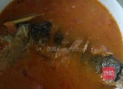 西红柿鲫鱼汤的做法图解9
