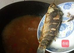 西红柿鲫鱼汤的做法图解8