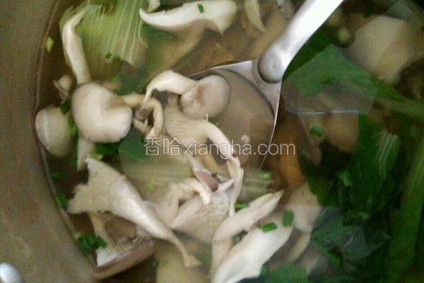 白菜蘑菇汤