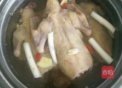 清炖乳鸽的做法图解2
