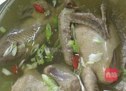 清炖乳鸽的做法图解5