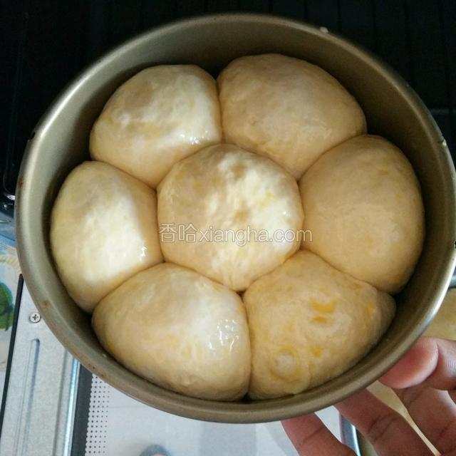 15分钟过后，把面团分成13等份，揉成小圆形，放入六寸的模具中，像图中这样
