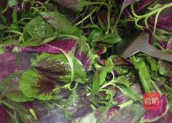 蒜香红苋菜的做法图解5