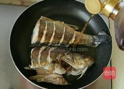 清炖鲈鱼的做法图解4