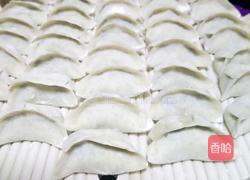 大叶芹蒸饺的做法图解6