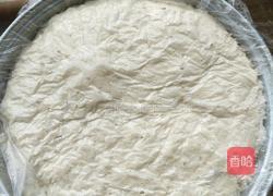 刚学做包子的做法图解3