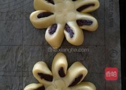 巧克力菊花酥的做法图解12