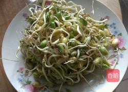 炒肉丝黄豆芽的做法图解1