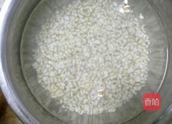 百合薏米糊的做法图解2