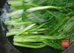 白灼菜心的做法图解5