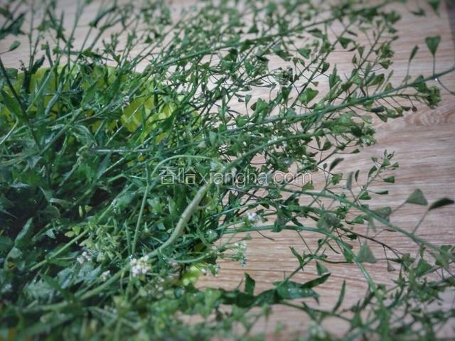 荠菜花清洗干净。