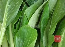 麻辣素砂锅的做法图解3