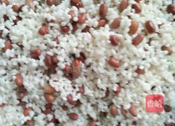 红豆粽子的做法图解4