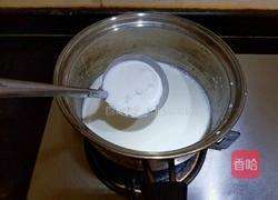自制酸奶(十菌)的做法图解3