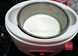 自制酸奶(十菌)的做法图解8