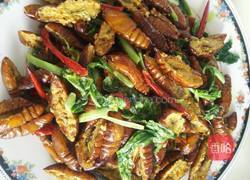 开边蚕蛹的做法图解8