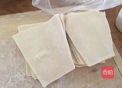 自制肉丸馄饨的做法图解5