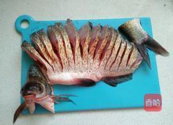 孔雀开屏的做法图解3