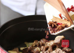 番茄牛腩的做法图解9