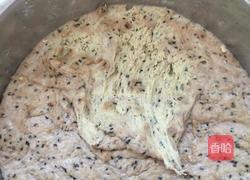 玉米荞面全麦大碱杂粮包的做法图解6