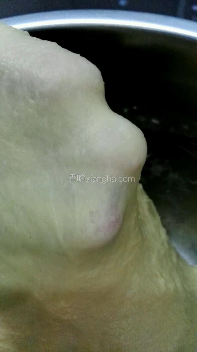 把玉米油分次揉入面团，揉出手膜