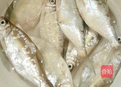 香煎小扁鱼的做法图解1