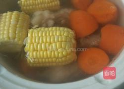 玉米排骨汤的做法图解3