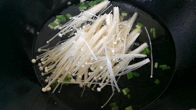倒入适量清水，放入金针菇。