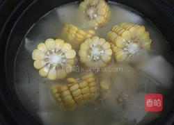 冬瓜玉米排骨汤的做法图解8