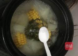 冬瓜玉米排骨汤的做法图解10