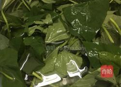 炒番薯叶的做法图解1