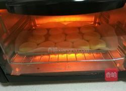 蔓越莓玛格丽特的做法图解8