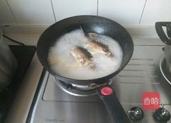 通草鲫鱼汤的做法图解3