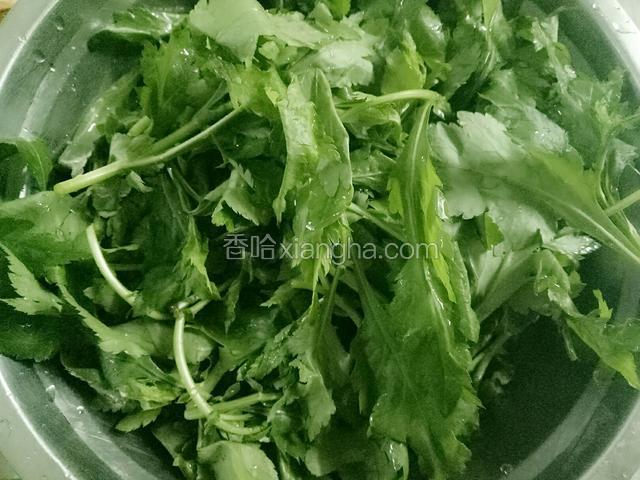 菊花脑冷水洗净，沥水待用