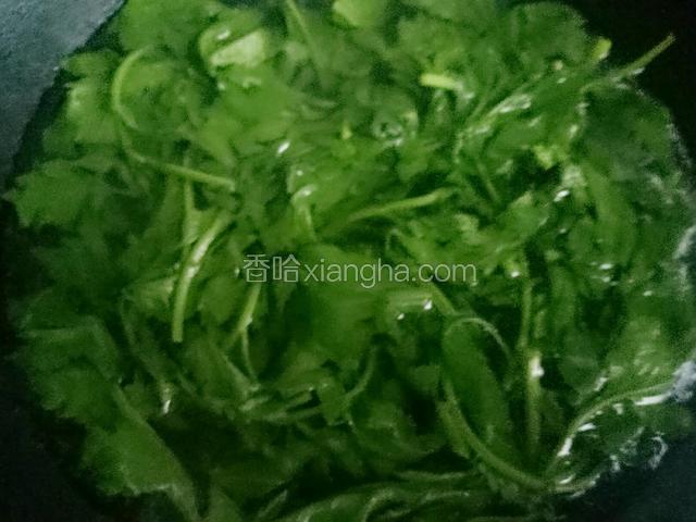 锅中放水，水沸后放入沥干水的菊花脑，再次沸腾后放入适量盐并转小火