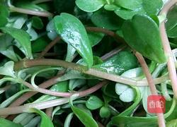 马齿苋炒鸡蛋的做法图解1