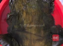 宠物海藻粉的做法图解2