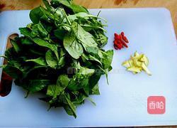 枸杞叶肉丝汤的做法图解3