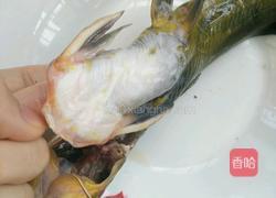黄骨鱼汤的做法图解2