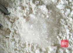 刀切小馒头（一次发酵型）的做法图解2