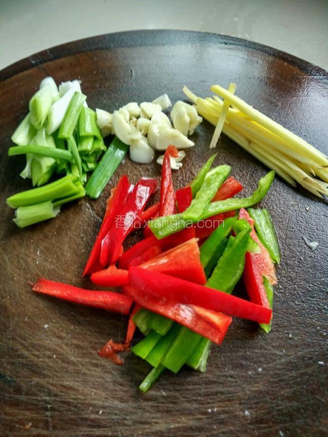 生姜、青红椒切丝，蒜苗切段，蒜头切颗粒备用