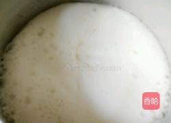 芒果雪糕(冰淇淋)的做法图解5