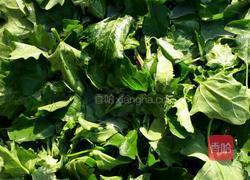 灰条菜的做法图解1