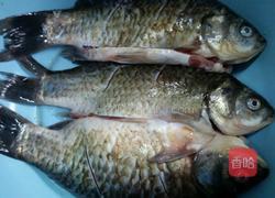 家常冬瓜鲫鱼汤的做法图解1