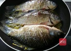 家常冬瓜鲫鱼汤的做法图解6