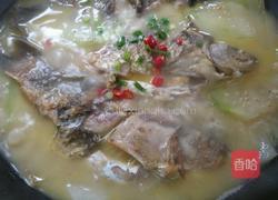 家常冬瓜鲫鱼汤的做法图解13