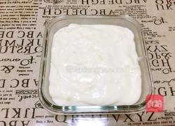 椰蓉奶冻的做法图解6