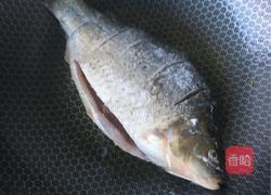 鲫鱼汤的做法图解6
