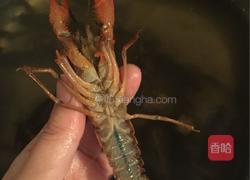 小龙虾的做法图解1