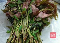 香椿炒鸡蛋的做法图解1
